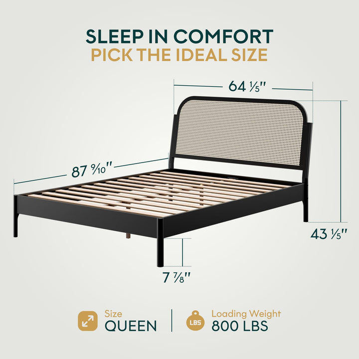Aurelia queen platform bed frame, featuring black finish, for mattress placement