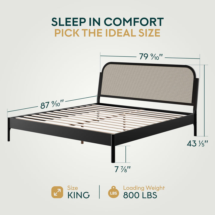 Aurelia king platform bed frame, featuring black finish, for mattress placement