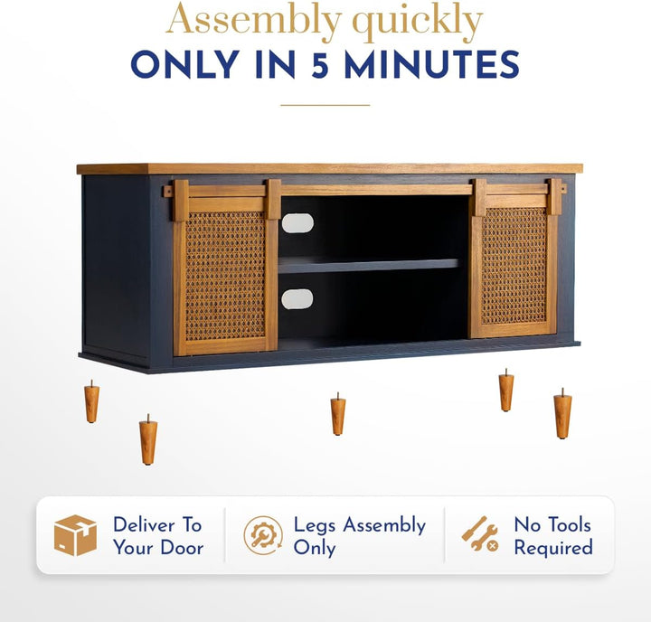 TV console